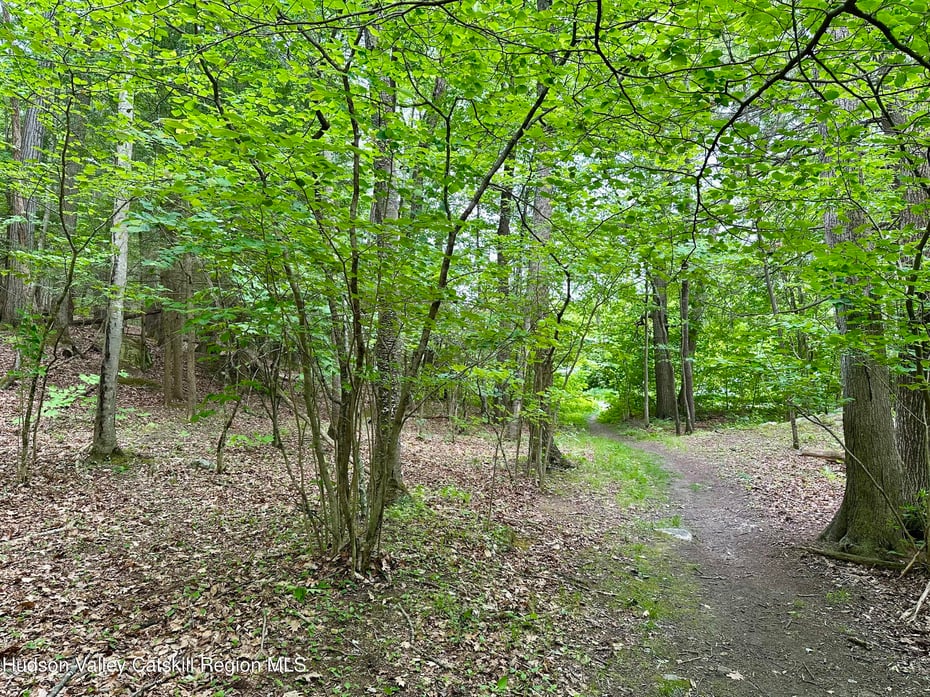 0 Lake Mansfield Road Photo 3