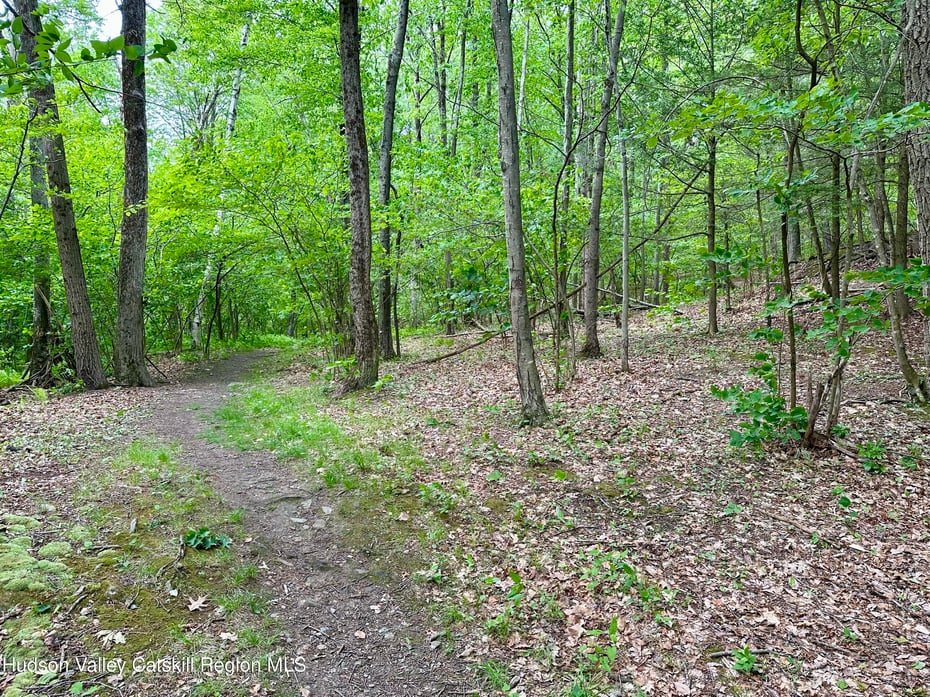 0 Lake Mansfield Road Photo 4