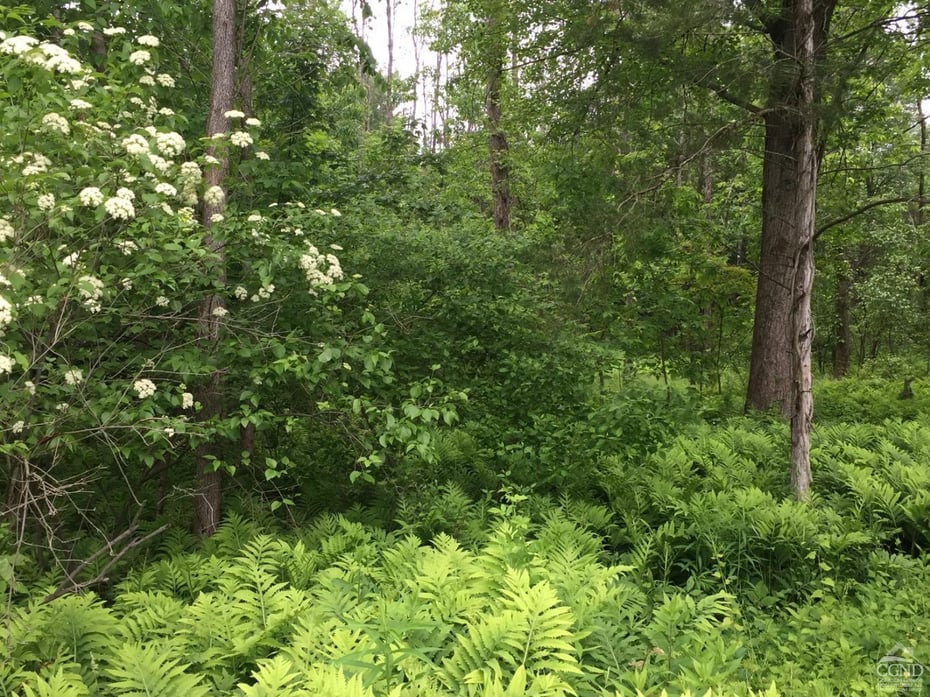 352 Round Top Rd Photo 37