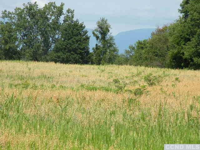Livingston Land Photo 9