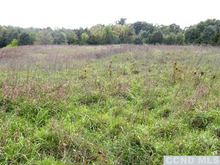 Livingston Land Photo 5
