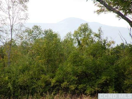 Livingston Land Photo 7