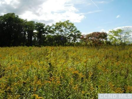 Livingston Land Photo 3