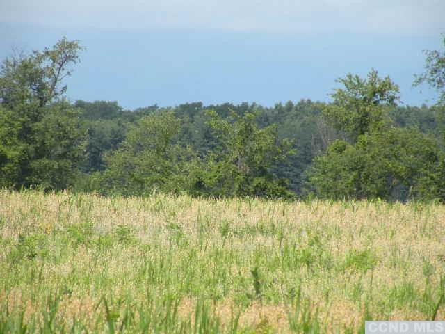 Livingston Land Photo 10