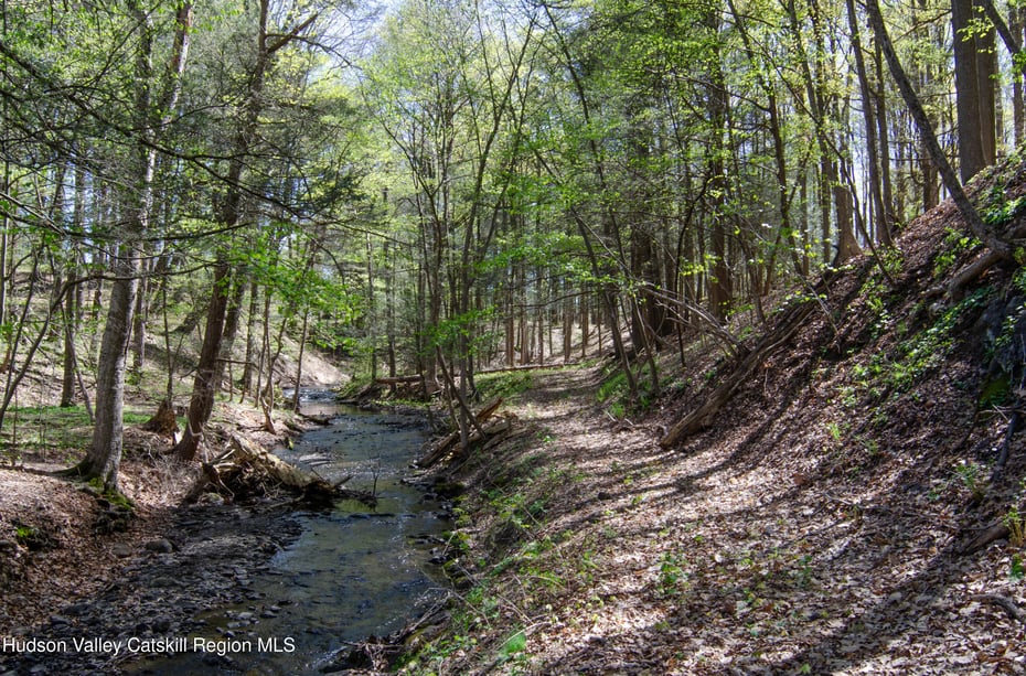 4317 Ny-23 Photo 45