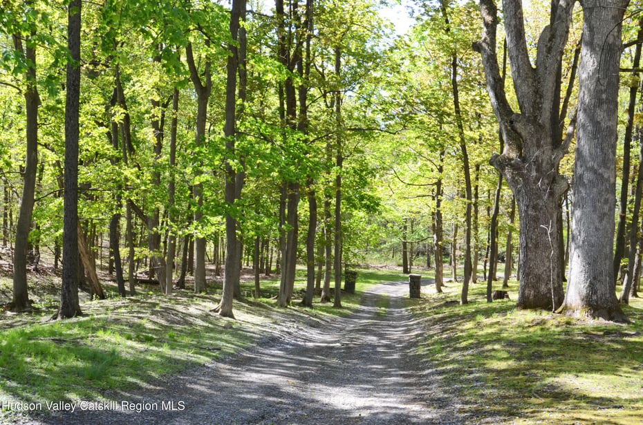 4317 Ny-23 Photo 48
