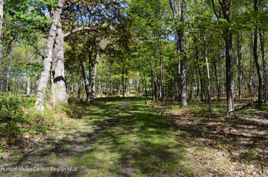 4317 Ny-23 Photo 46