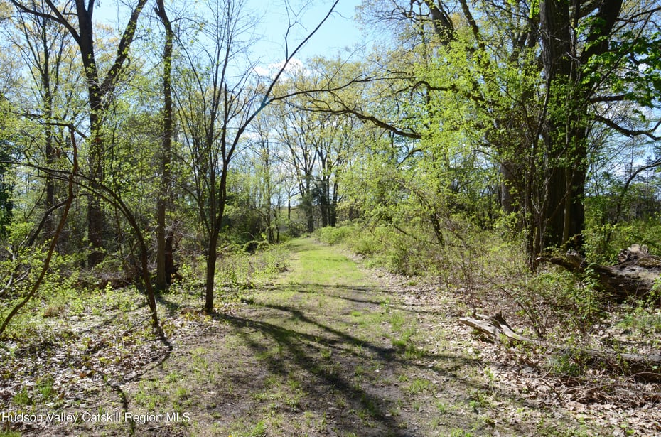 4317 Ny-23 Photo 47