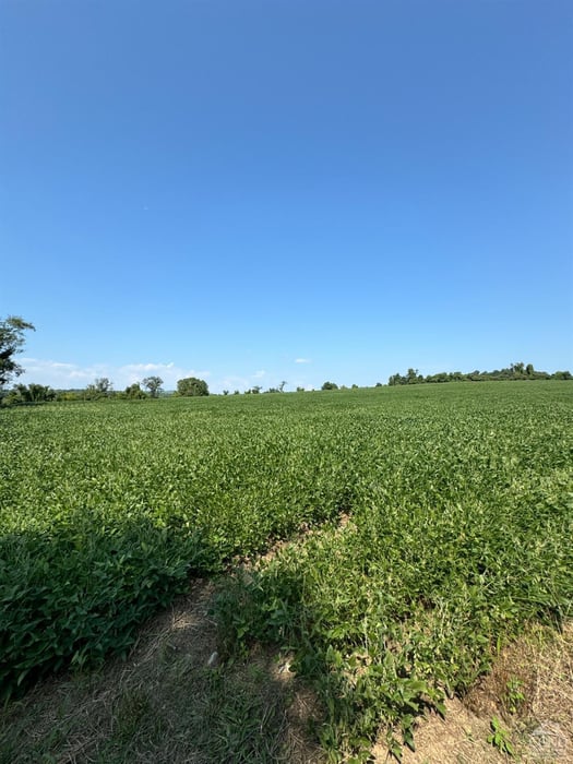 0 - Lot 1-14 Empire Road Photo 9