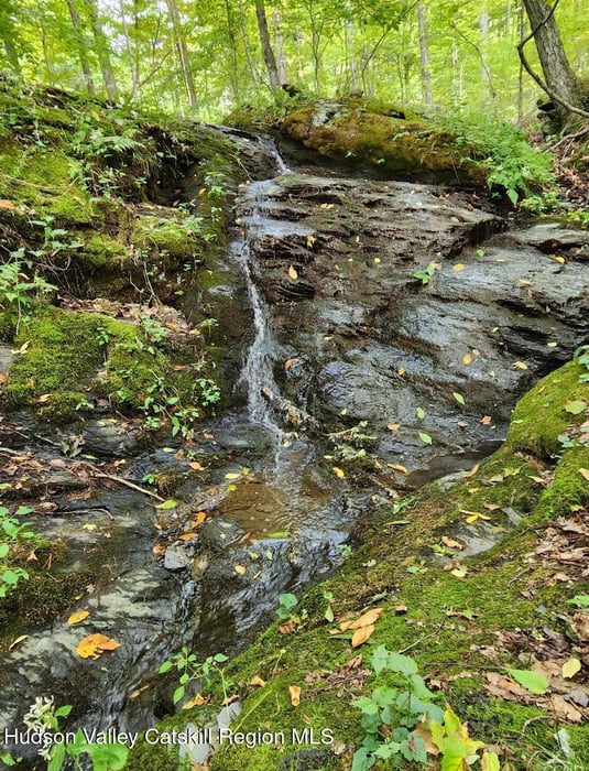 69 County Rte 24 Photo 15