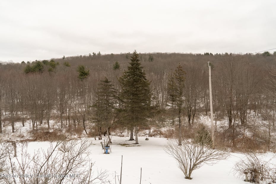 1291 New York 23 Photo 4