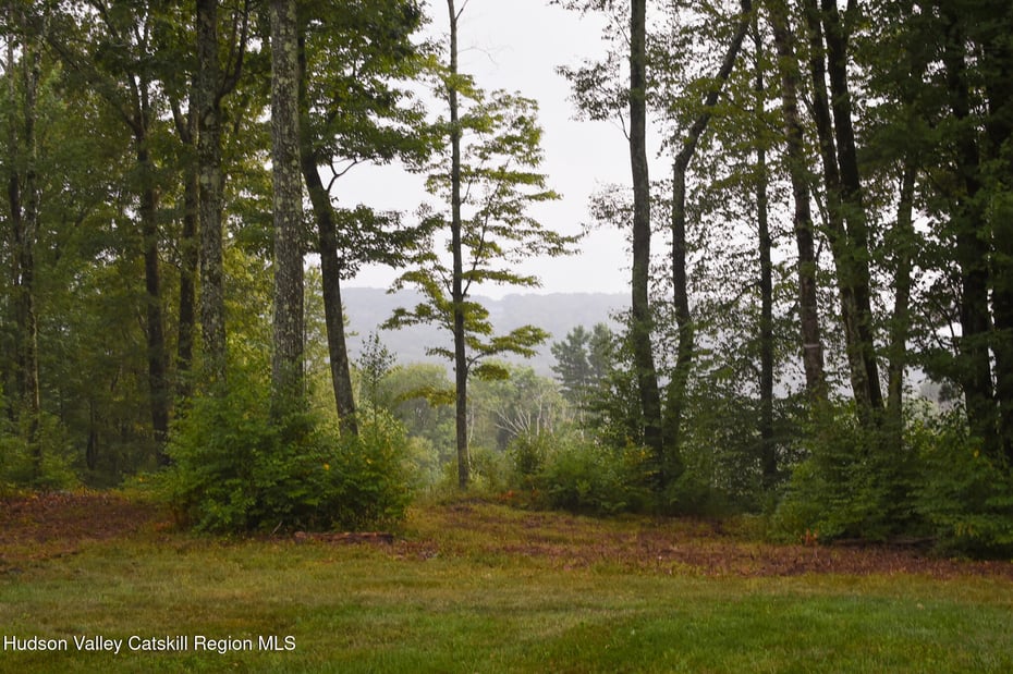 120 Route 203 Photo 25