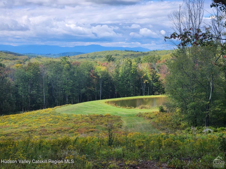 120 Route 203 Photo 9