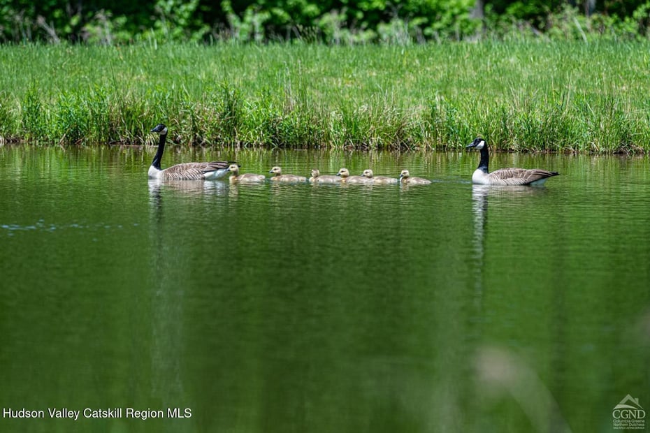 120 Route 203 Photo 15