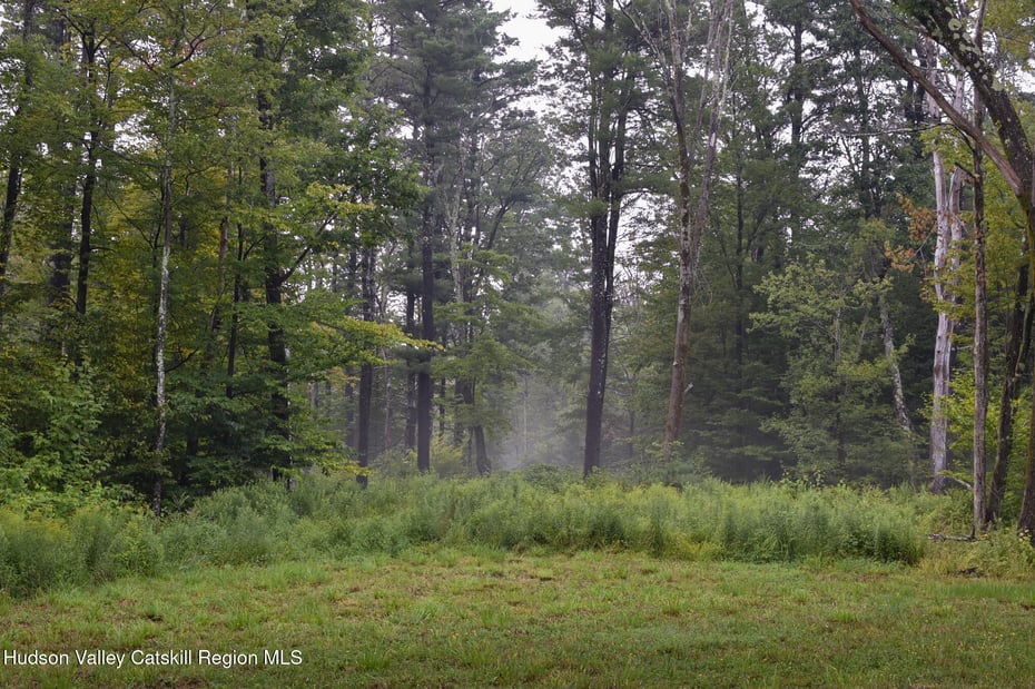 120 Route 203 Photo 26