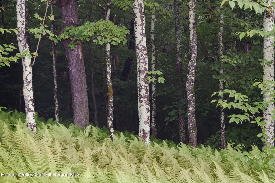 120 Route 203 Photo 19