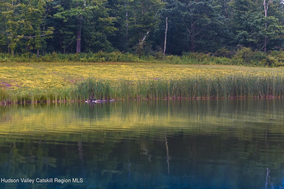 120 Route 203 Photo 21