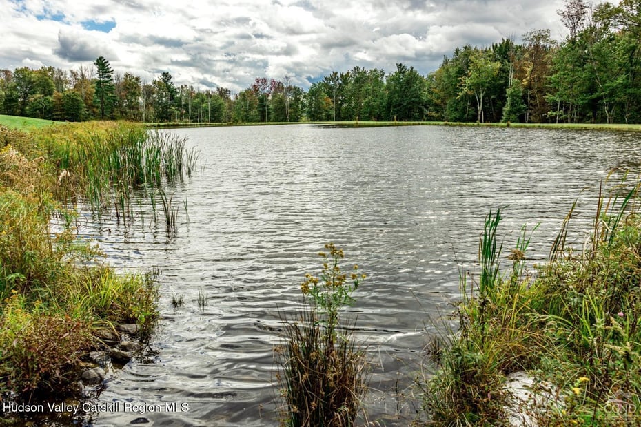 120 Route 203 Photo 16