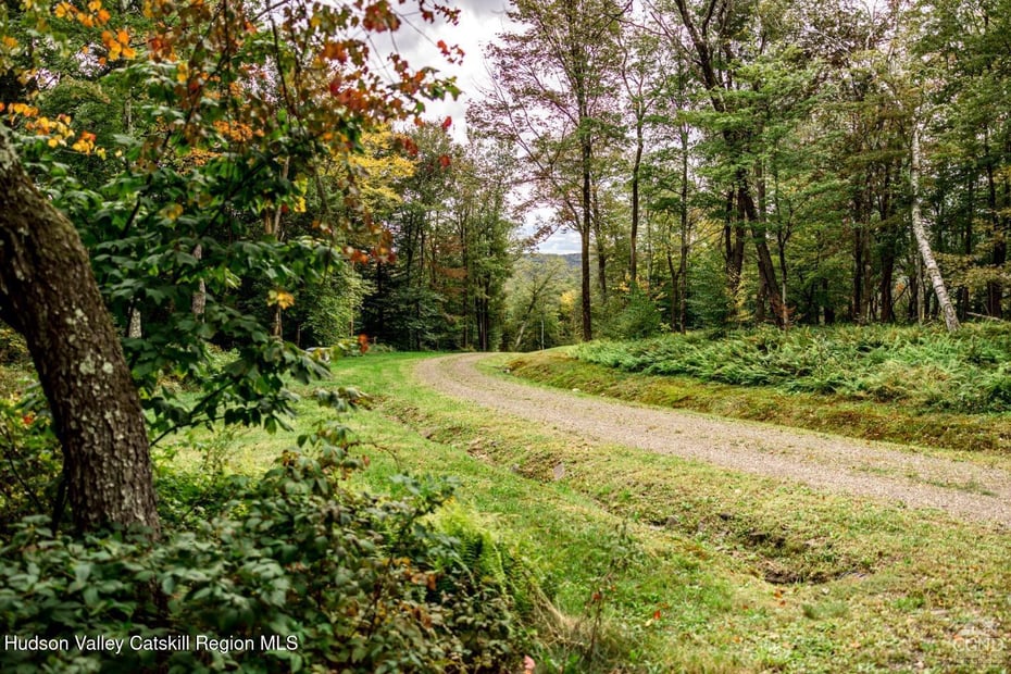 120 Route 203 Photo 6