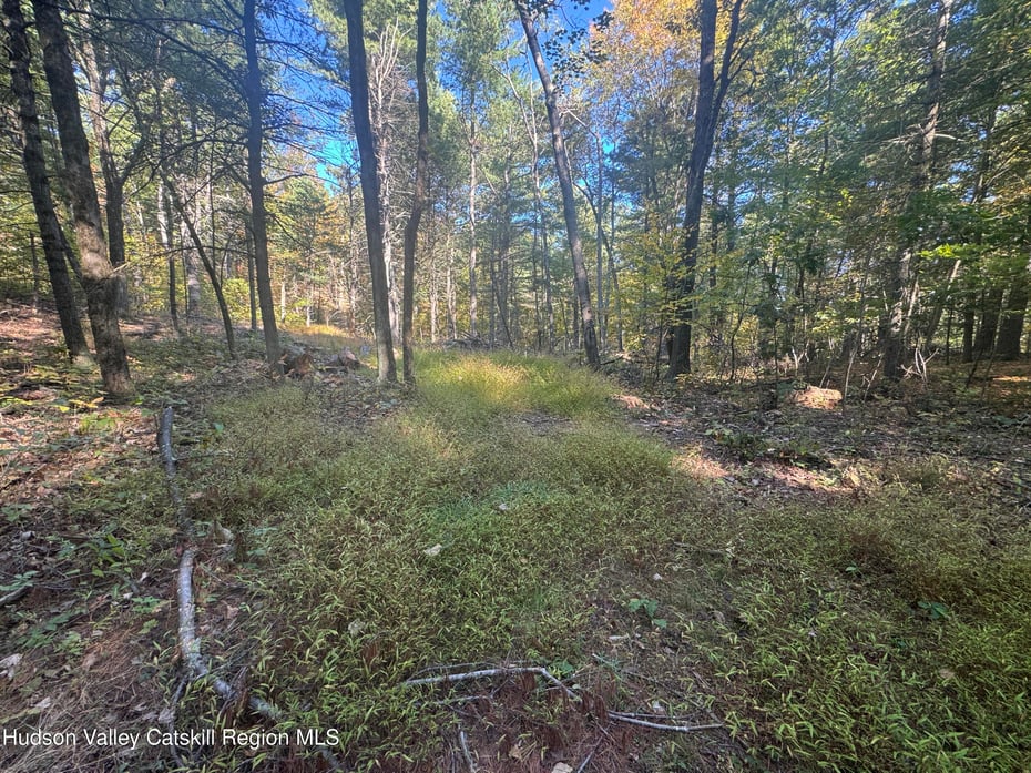 00 Snydertown Road Photo 13