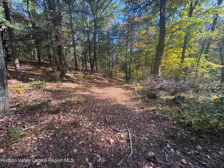 00 Snydertown Road Photo 18