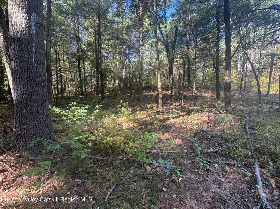 00 Snydertown Road Photo 14