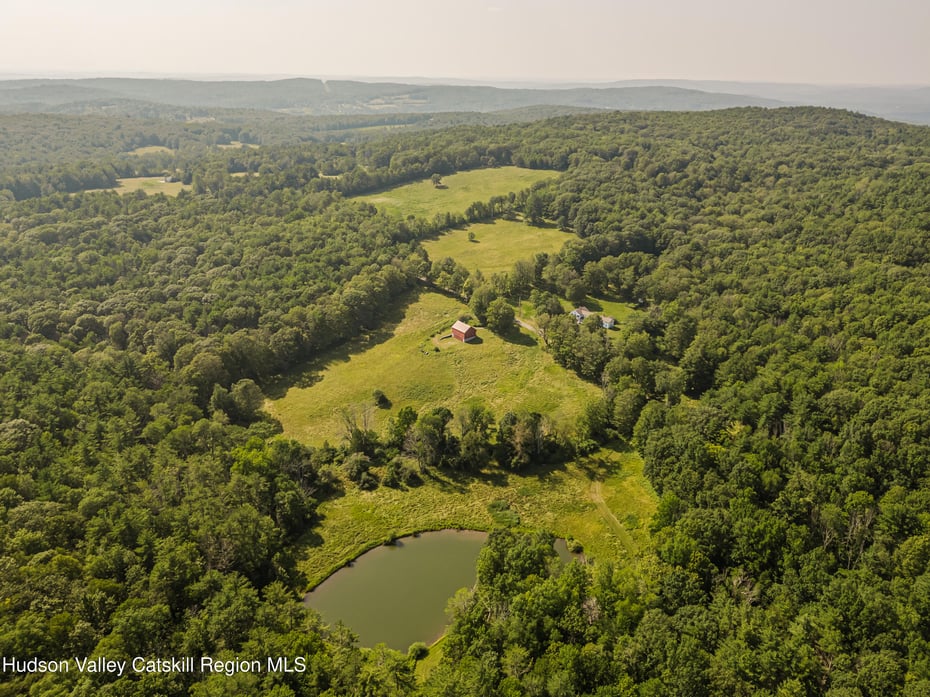 439 Kelly Road Photo 4