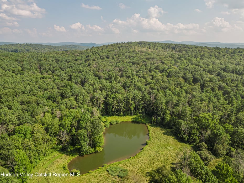 439 Kelly Road Photo 73