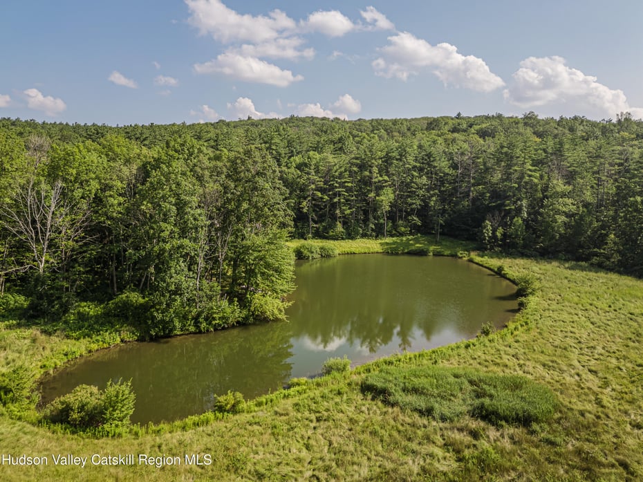439 Kelly Road Photo 12