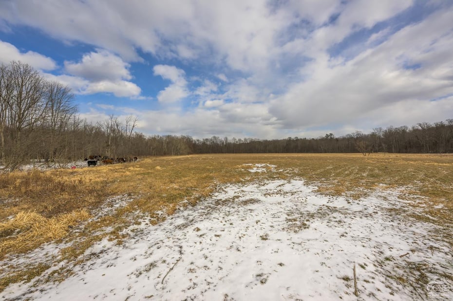 1414 Ny-9h Photo 29