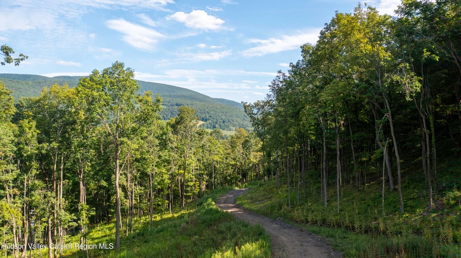 8025 Route 22 Stop 84 Photo 23