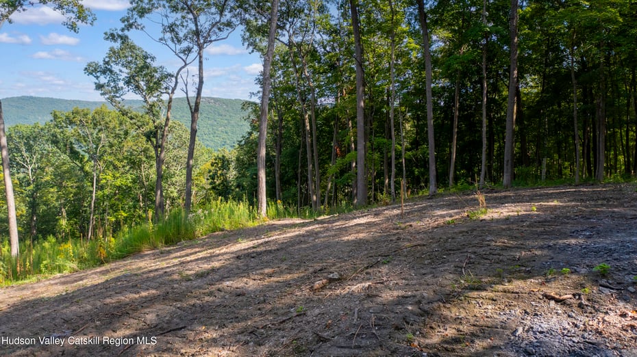 8025 Route 22 Stop 84 Photo 22