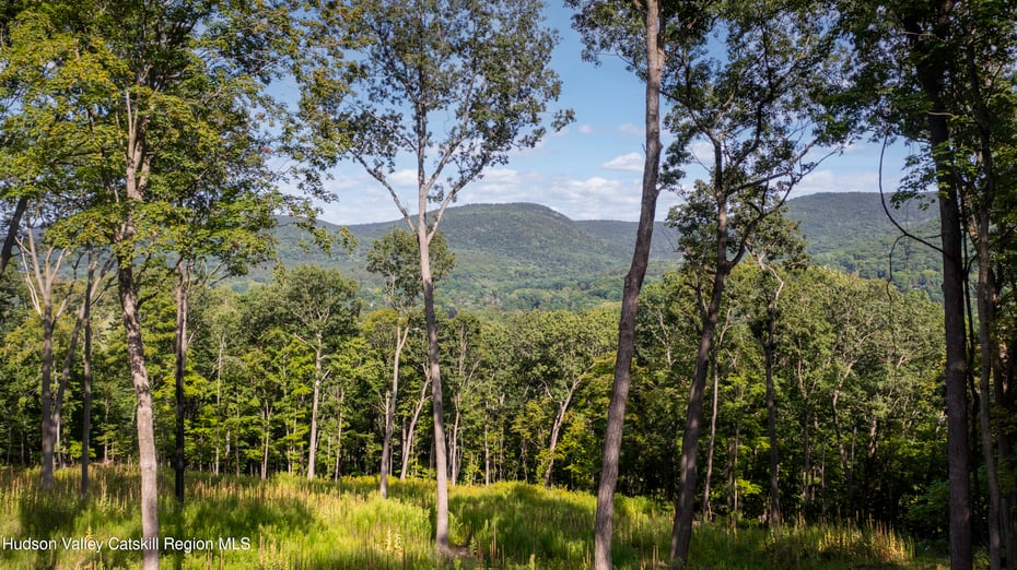 8025 Route 22 Stop 84 Photo 20