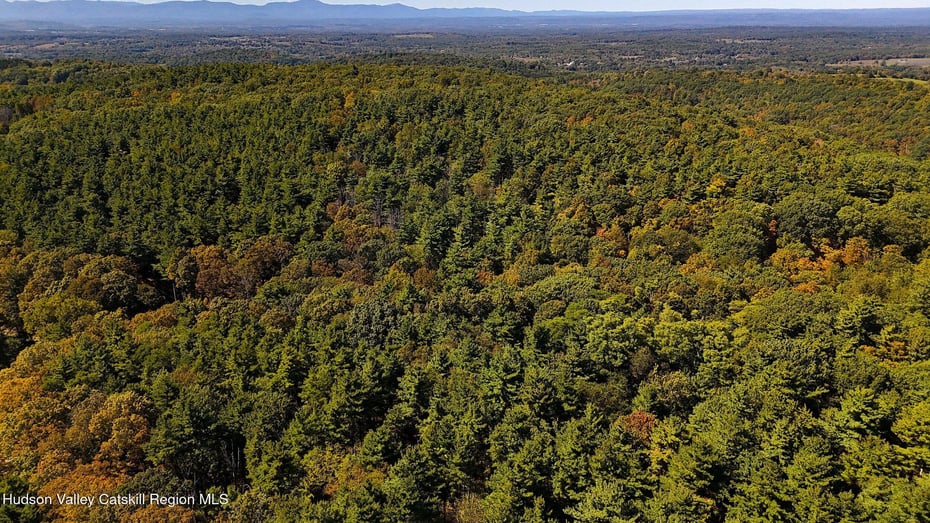 0 Scannell Road Photo 11