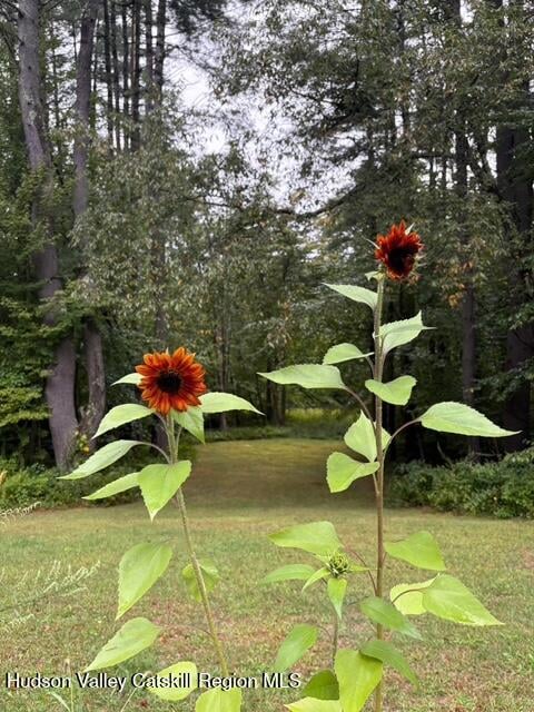 186 W Hand Hill Road Photo 36