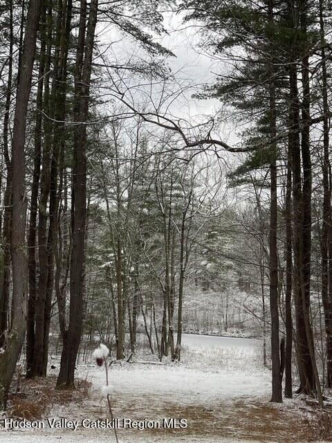 186 W Hand Hill Road Photo 43