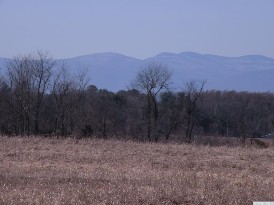 Livingston  Photo 4