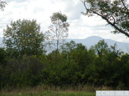 Livingston  Photo 8