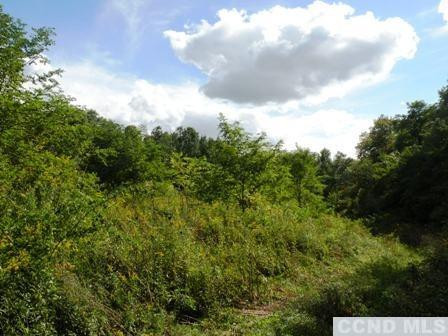 Livingston  Photo 5
