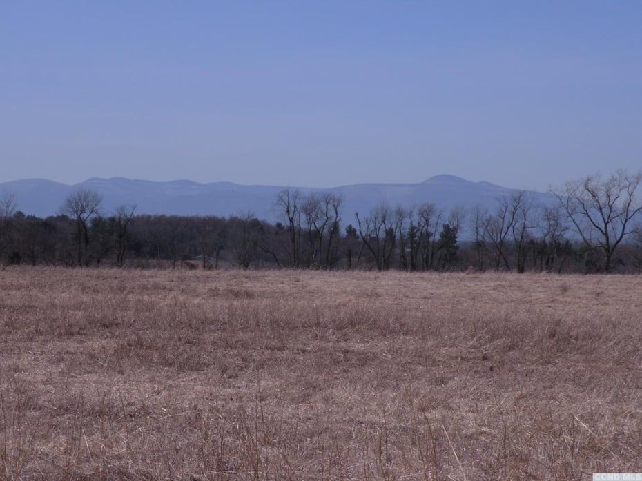 Livingston  Photo 3