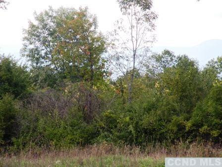 Livingston  Photo 9