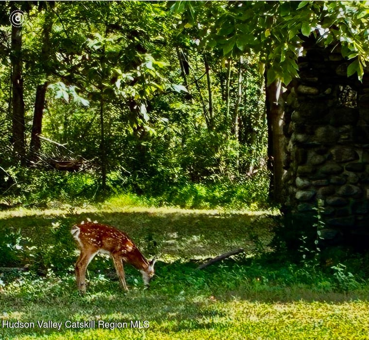 00 Mambert Road Photo 23