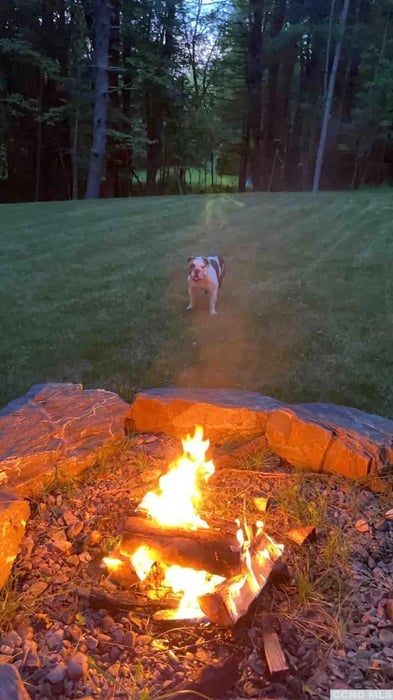 60 Connacher Road Photo 4