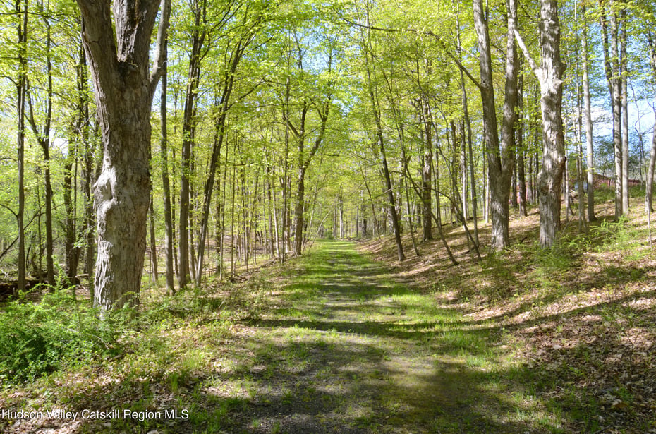 4317 Ny-23 Photo 20