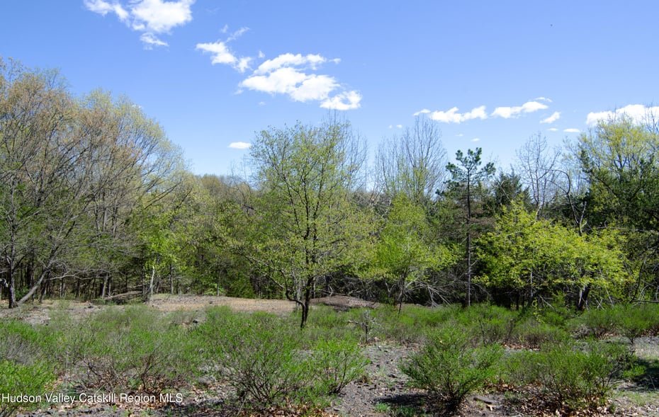 4317 Ny-23 Photo 18