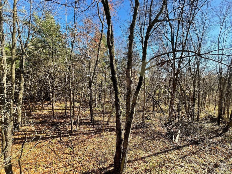 735 Gahbauer Road Photo 7