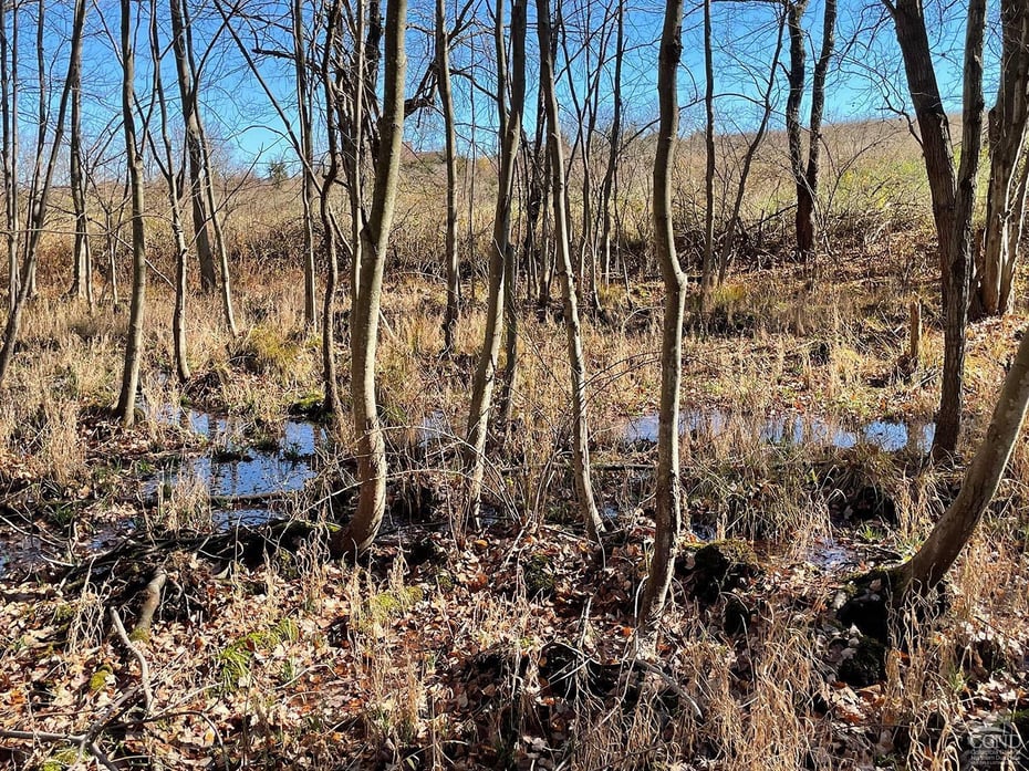 735 Gahbauer Road Photo 9