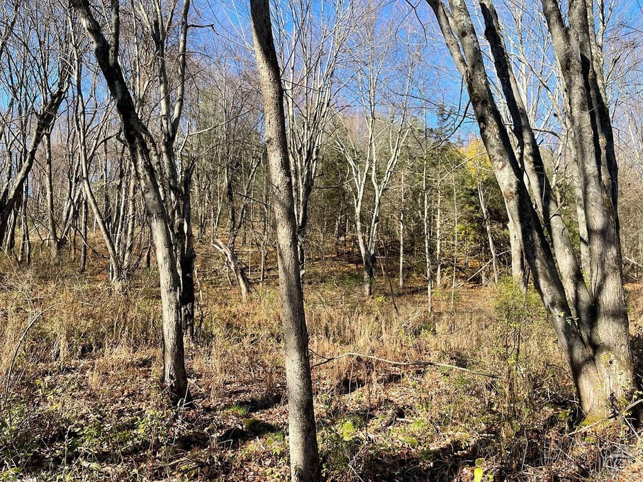 735 Gahbauer Road Photo 5