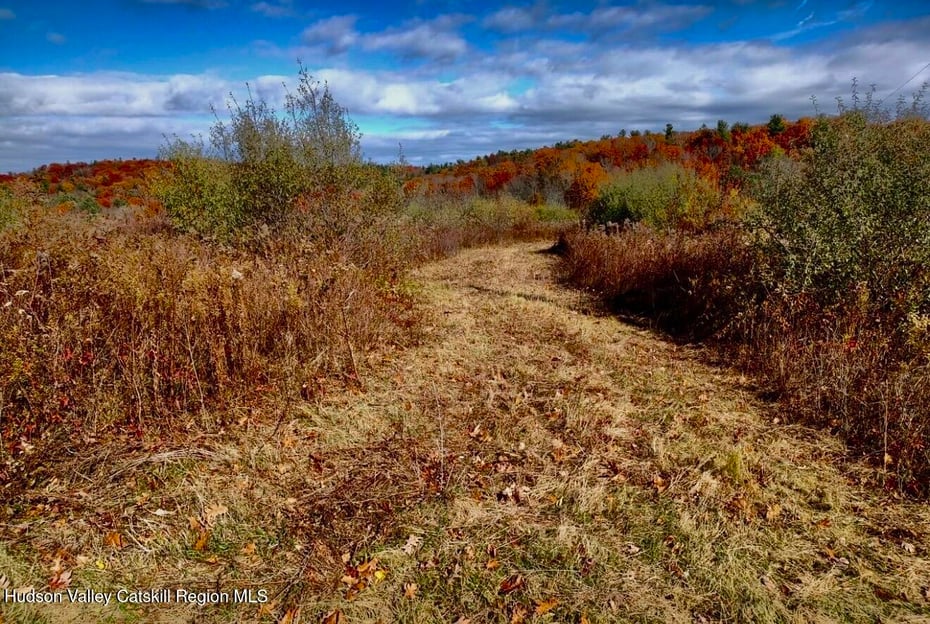 00 Manor Rock Road Photo 8