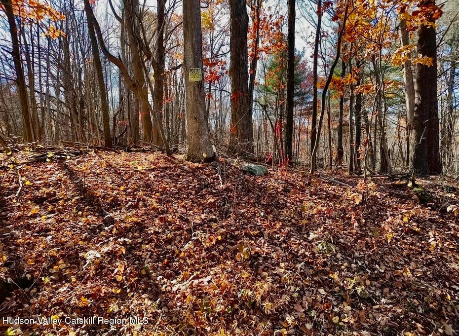 00 Manor Rock Road Photo 9